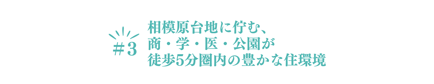 ポイント③　相模原台地に佇む商・学・医・公園が徒歩5分圏内の豊かな住環境